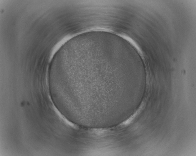 X0000076450910200610202332