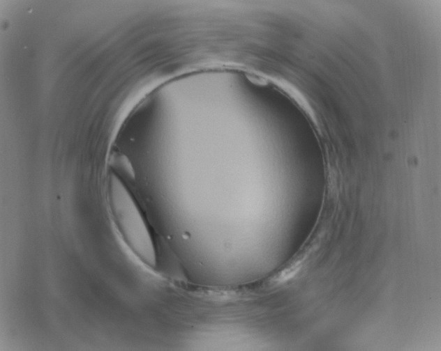 X0000076450911200610202331