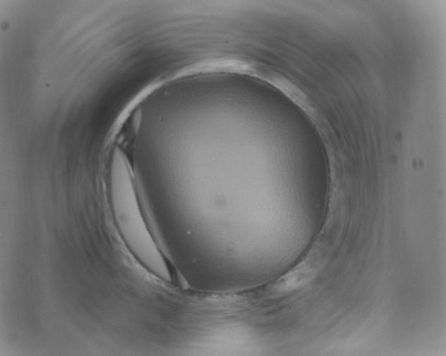 X0000076450912200610202331