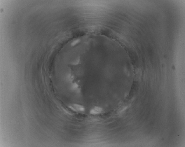 X0000076450913200610202331