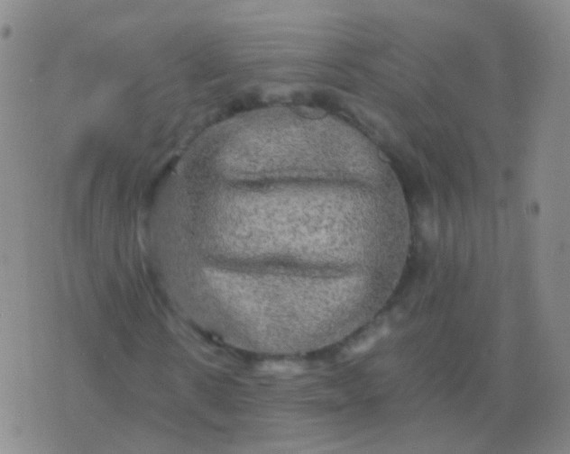 X0000076450914200610202331