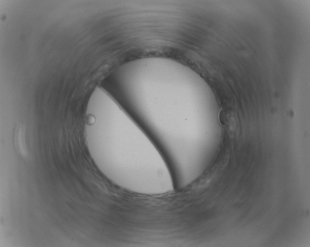 X0000076450916200610202331