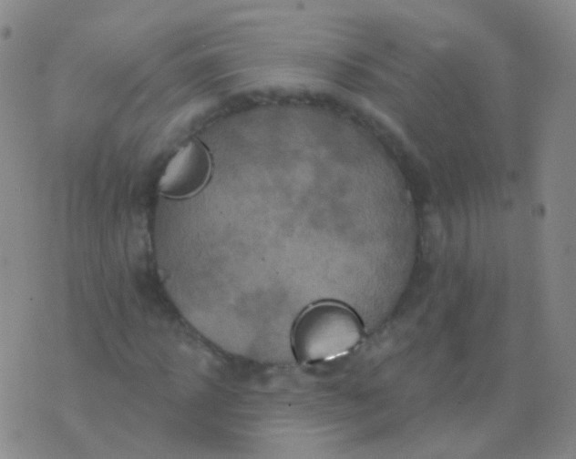 X0000076450918200610202331