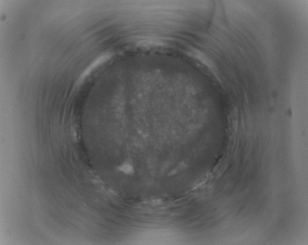 X0000076450919200610202331