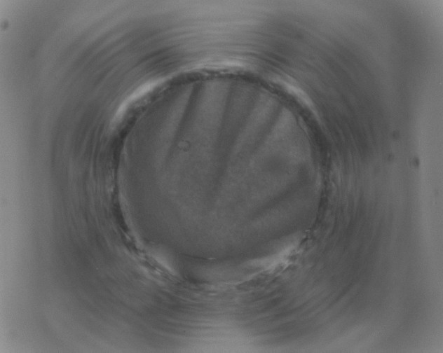 X0000076450920200610202331