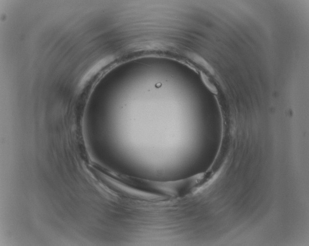 X0000076450922200610202331