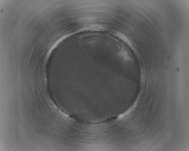 X0000076450923200610202331