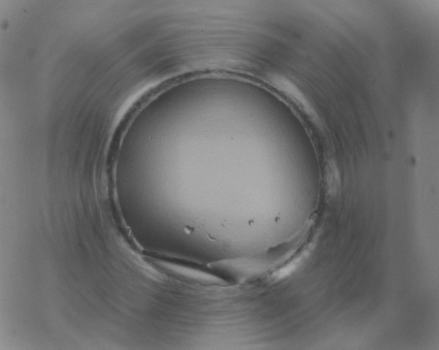 X0000076450924200610202331