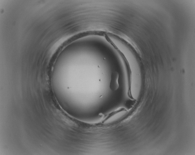 X0000076450926200610202331