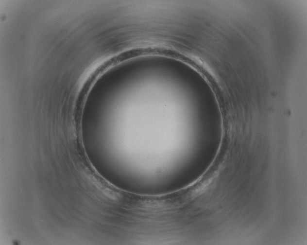 X0000076450927200610202331