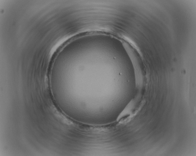 X0000076450928200610202331