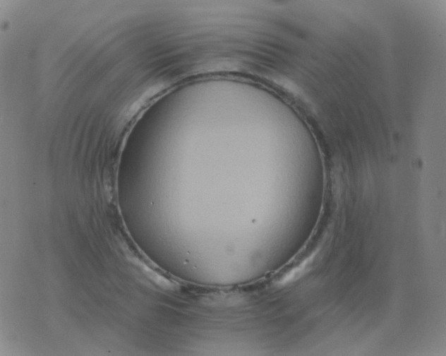 X0000076450929200610202331