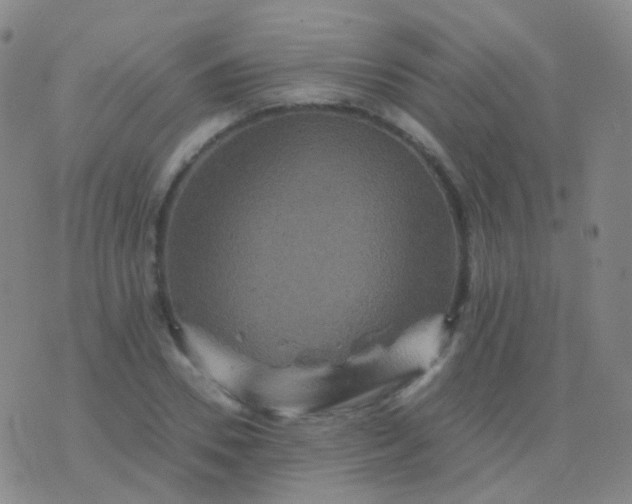 X0000076450930200610202331