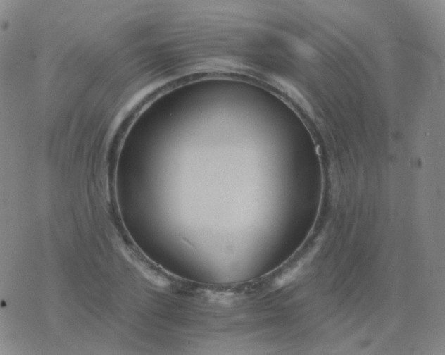 X0000076450931200610202331