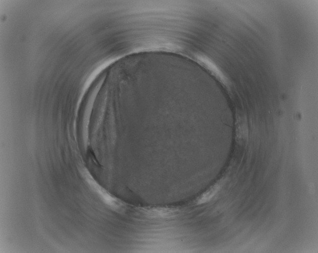 X0000076450932200610202331