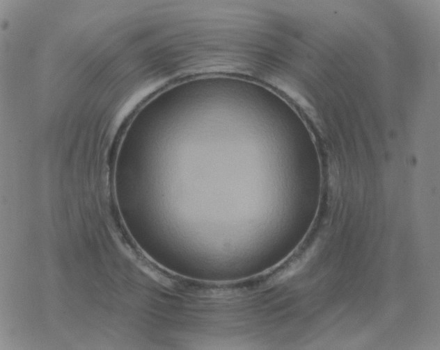 X0000076450933200610202331