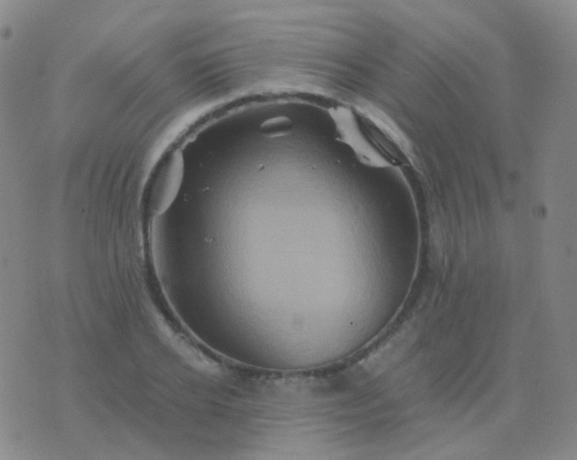 X0000076450934200610202331