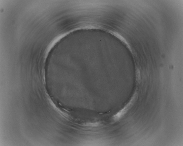 X0000076450935200610202331