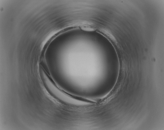 X0000076450936200610202331