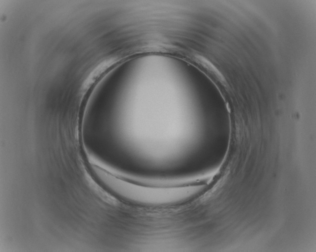 X0000076450938200610202331