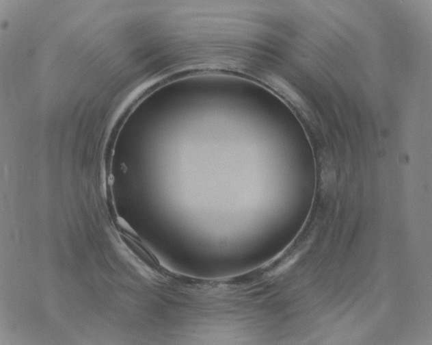 X0000076450940200610202331