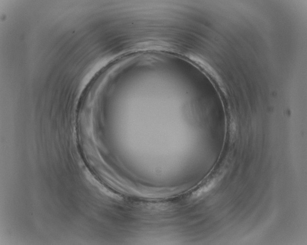 X0000076450941200610202331