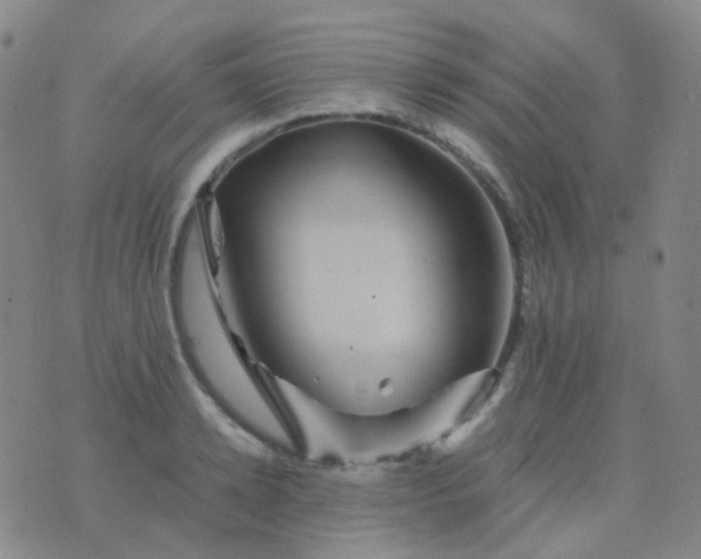 X0000076450942200610202331