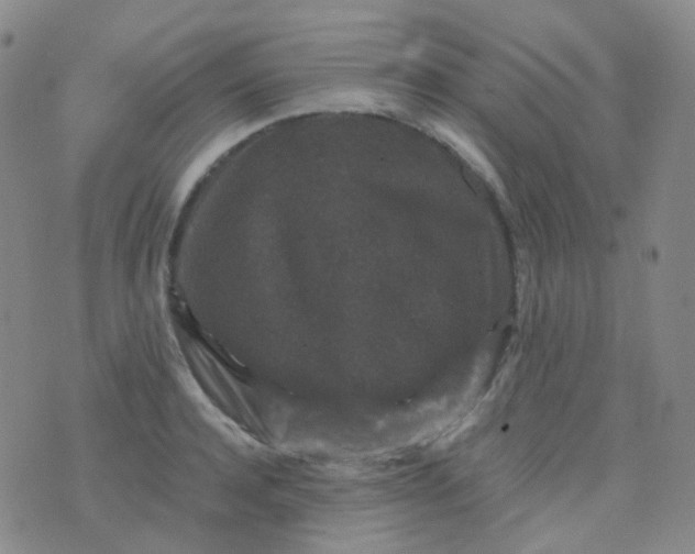 X0000076450944200610202331