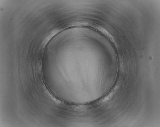 X0000076450945200610202331