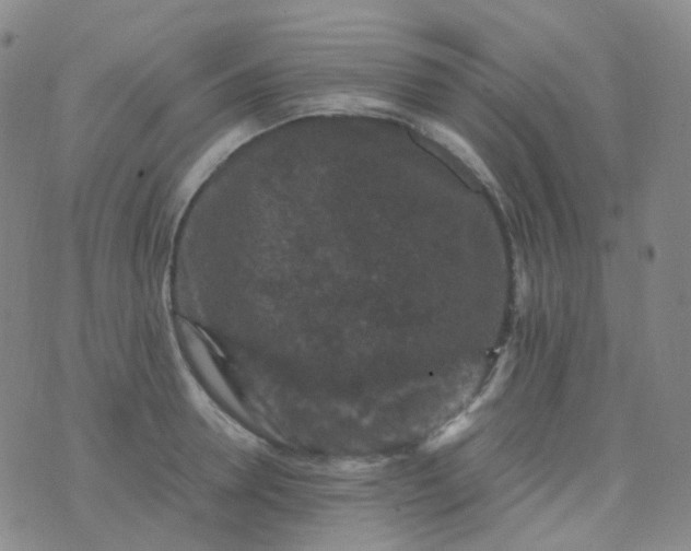 X0000076450946200610202331