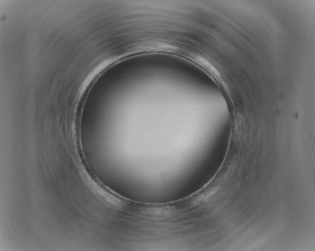 X0000076450947200610202331