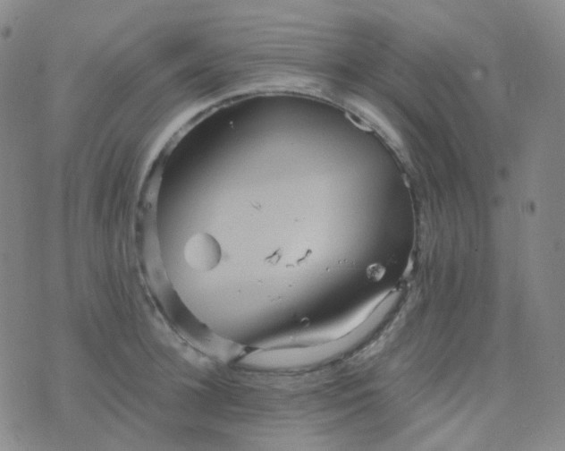 X0000076450948200610202331