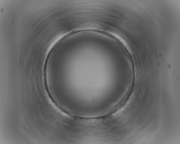 X0000076450949200610202331