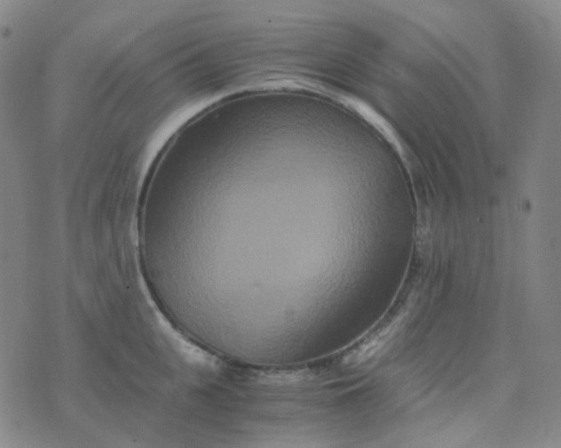 X0000076450951200610202331