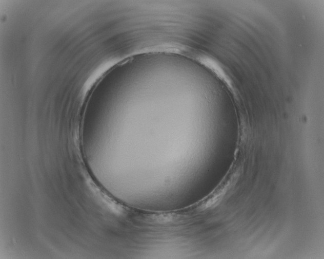 X0000076450952200610202331