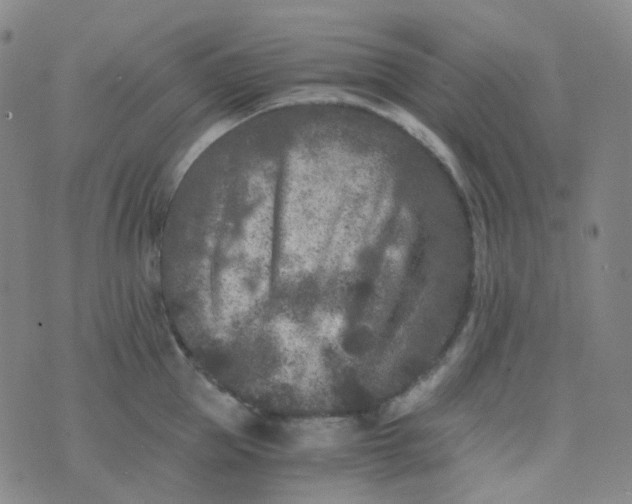 X0000076450953200610202331