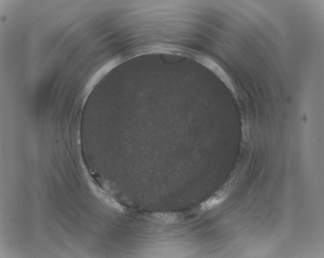 X0000076450954200610202331