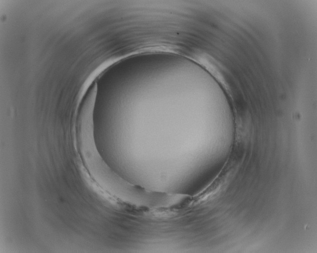 X0000076450955200610202331