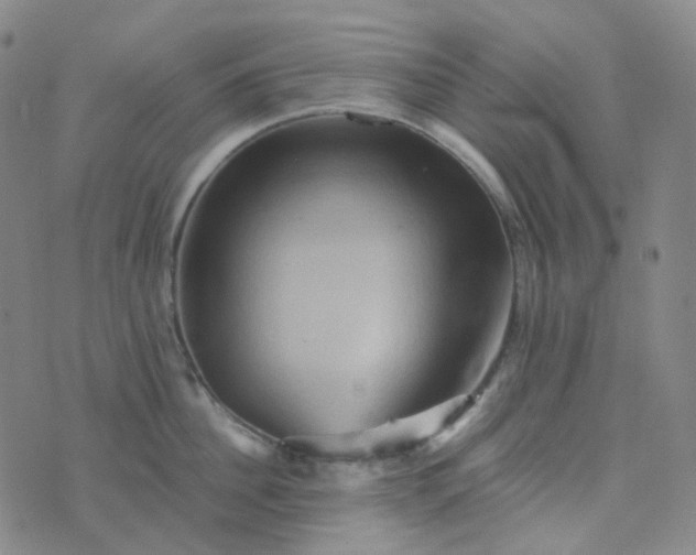 X0000076450956200610202331