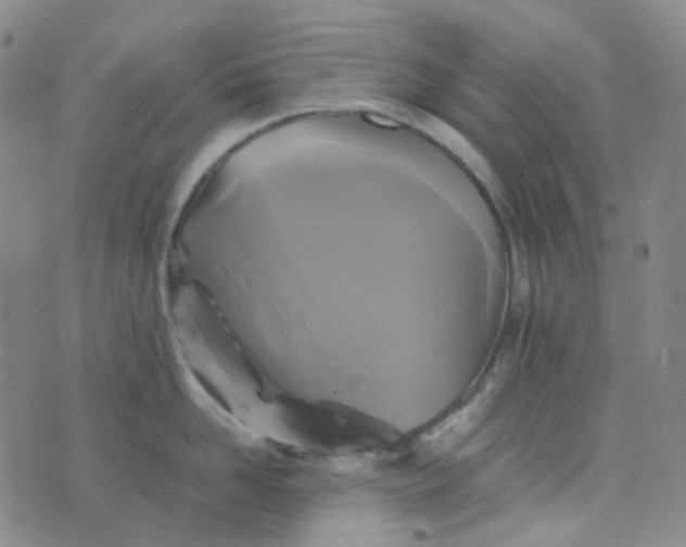 X0000076450958200610202331