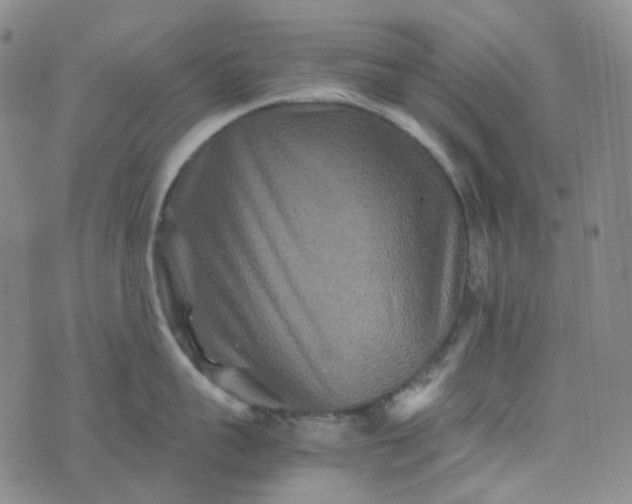 X0000076450959200610202331