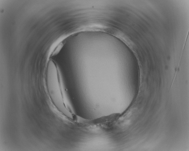 X0000076450960200610202331