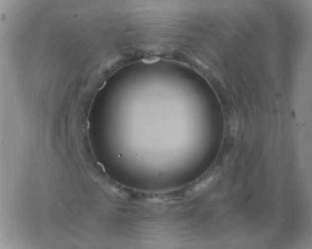 X0000076450961200610202331