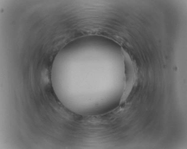 X0000076450962200610202331