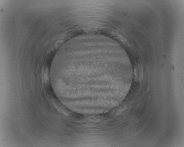 X0000076450963200610202331