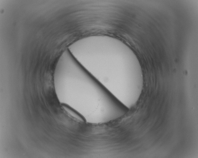 X0000076450964200610202331