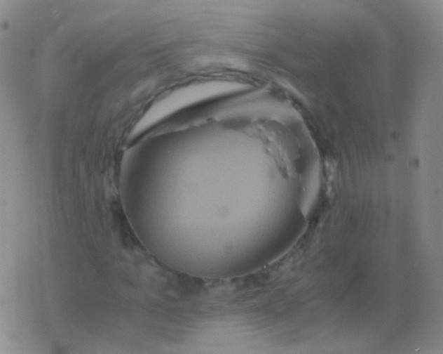 X0000076450965200610202331