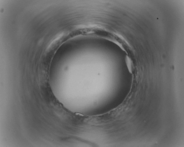 X0000076450967200610202331