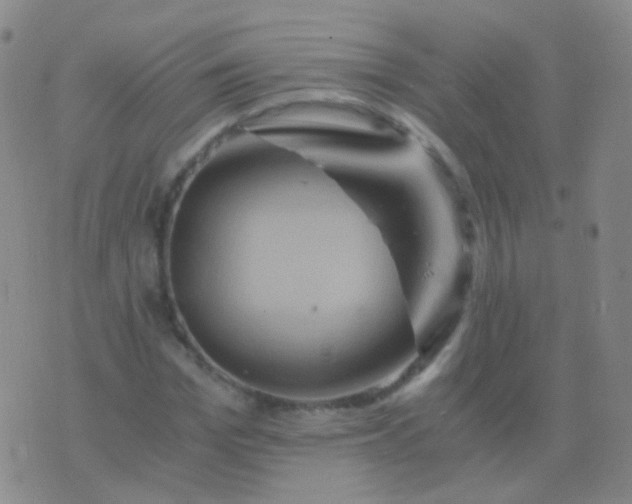 X0000076450969200610202331