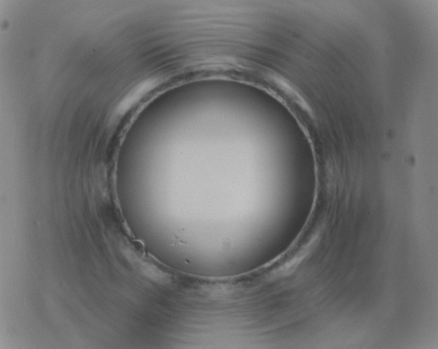 X0000076450970200610202331